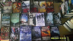 70 Taschenbücher   Polit Thriller     Komplett oder Einzeln