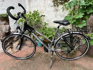 Damenfahrrad Pegasus Premio SL