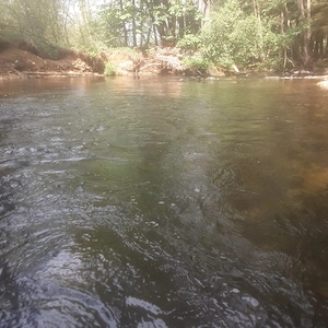 Besondere Schwimmkurse 