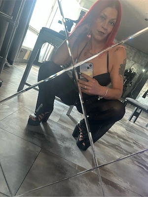 Cat Noir   dominant, sinnlich, direkt Bild 3