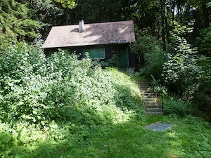  Der Reiz im freien  Freiluft  in der Natur  einfach mal etwas anderes 