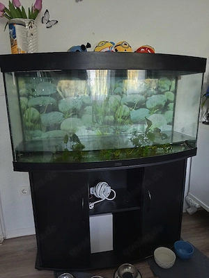 ich biete ein Aquarium 