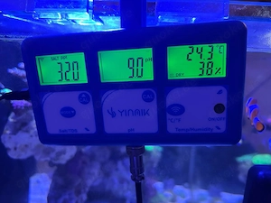Meerwasser Aquarium Blue Marin 200l Bild 3