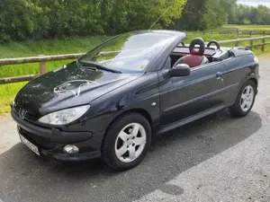 Peugeot 206 206 CC 110
