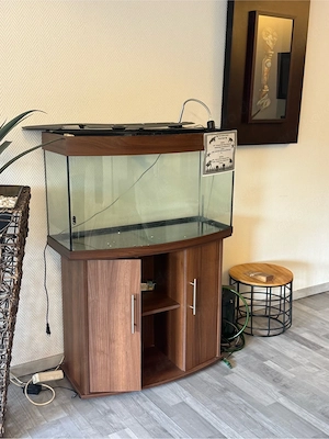  Aquarium mit unterschrank wenn nötig 