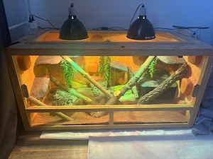Holz Terrarium