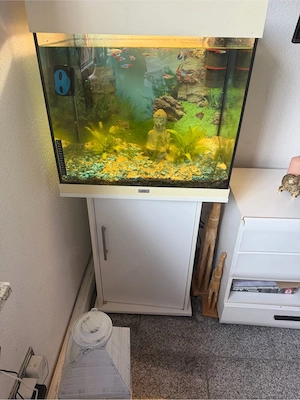 120LT Aquarium komplet