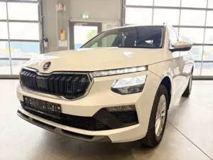 Skoda Kamiq 1,0TSI DSG Selection Kamera PDC Climatr.