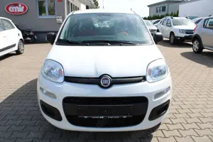 Fiat Panda 1.2 Klima TÜV neu Bild 5