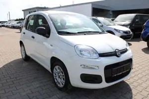 Fiat Panda 1.2 Klima TÜV neu Bild 2