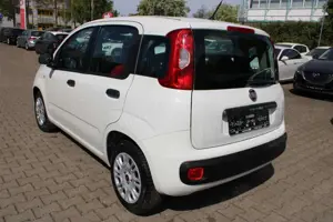 Fiat Panda 1.2 Klima TÜV neu Bild 4