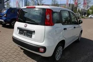 Fiat Panda 1.2 Klima TÜV neu Bild 3