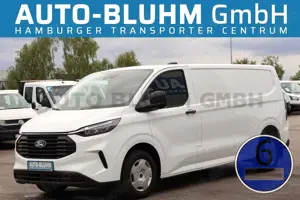 Ford Transit Custom Transit 320-EB Custom Kasten L2 + Navi Cam