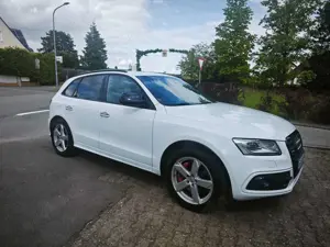 Audi SQ5 3.0 TDI plus quattro,HU/AU  KD Neu,AHK schwenkbar