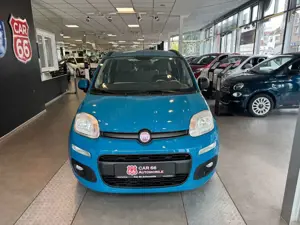 Fiat Panda Lounge Bild 2
