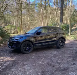 Land Rover Range Rover Evoque TD4 Aut. Black-Edition