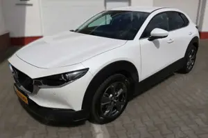 Mazda CX-30 Selection mit 360° Kamera PDC v+h