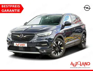 Opel Grandland X 1.2 Innovation Klimaaut. LED Navi