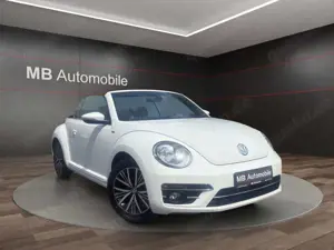 Volkswagen Beetle Cabriolet Allstar BMT Navi/Klimaa./R-Kam Bild 5