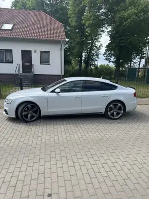 Audi A5 2.0 TDI Sportback (clean die.) quat. DPF S tro.