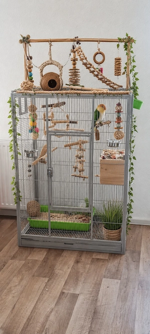 Vogelvoliere zu verkaufen