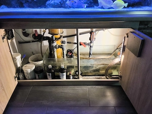 Meewasser Aquarium Koplett Bild 3