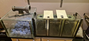 Meewasser Aquarium Koplett Bild 7