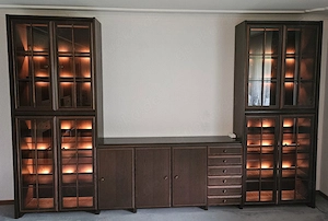 Wohnzimmerschrank, Vitrinenschrank & Bücherschrank, Schreinerhand