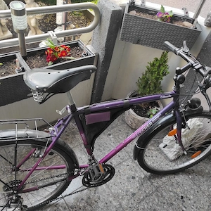Fahrrad Fischer Basic  Bild 2