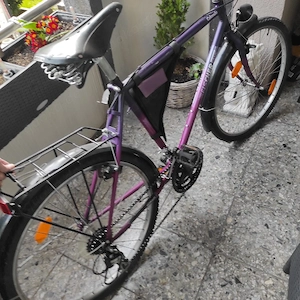 Fahrrad Fischer Basic 