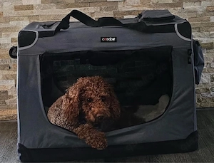 Hundebox NEU Transportbox Reisebox Autobox Faltbar Hundebett 