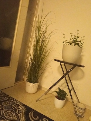 Mehrere künstliche Pflanzen mit vase