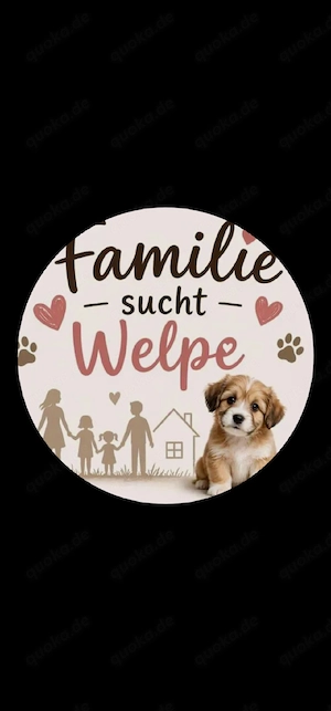 Suche Hund 