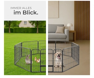 Welpen kleine Hunde Gehege In Outdoor Bild 2