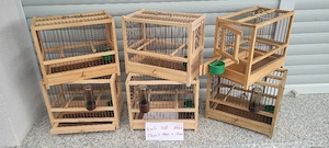 Zuchtbox ,Vogelkäfig, Gesangskäfige zu verkaufen 