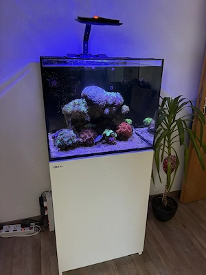 Red Sea Reefer 170 Meerwasseraquarium Weiß Komplett