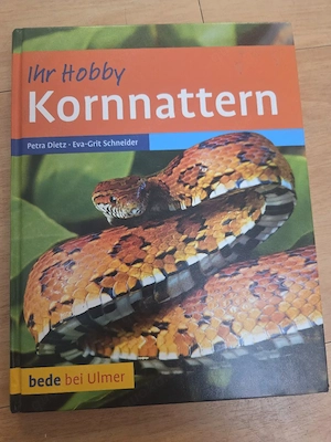 Buch Kornnattern