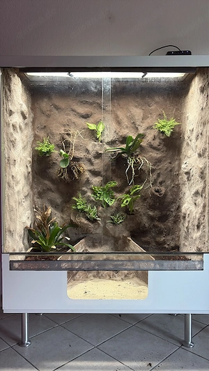 Terrarium 100x50x120 mit Teich   Paludarium