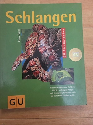Buch Kornnattern 