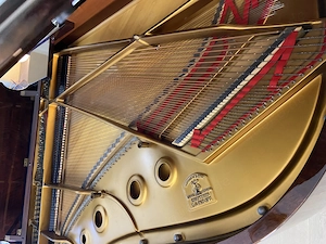 Steinway & Sons Flügel A-188 -Hamburg- Mahagoni poliert Bild 5