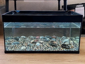 Aquarium mit Pumpe und Licht zu verkaufen.