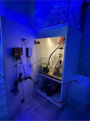 Meerwasseraquarium Auflösung  Bild 5