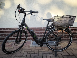 Pegasus Solero E9 E- Bike