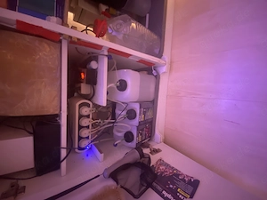 Meerwasseraquarium Komplett mit Inhalt zu verkaufen  Bild 2