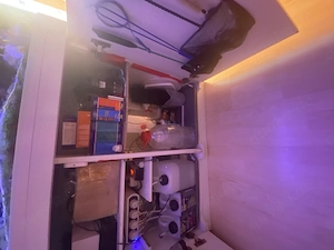 Meerwasseraquarium Komplett mit Inhalt zu verkaufen  Bild 5