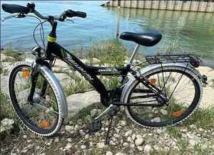 Triumph Drive 7 Jugendfahrrad   Cityrad 24 Zoll   guter Zustand