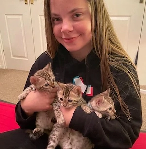 Zauberhafte Bengal-Kitten suchen ein liebevolles Zuhause