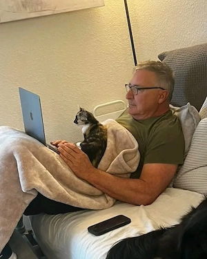 Entzückende Maine-Coon-Kätzchen Bild 3