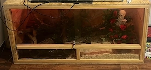 Terrarium 120x60x60 