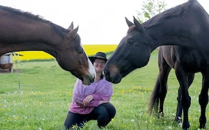 Reitbeteiligung gesucht (Reiter sucht Pferd)
